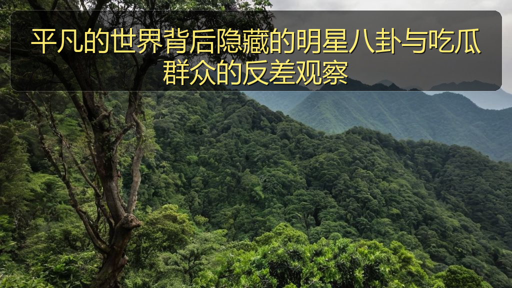 平凡的世界背后隐藏的明星八卦与吃瓜群众的反差观察